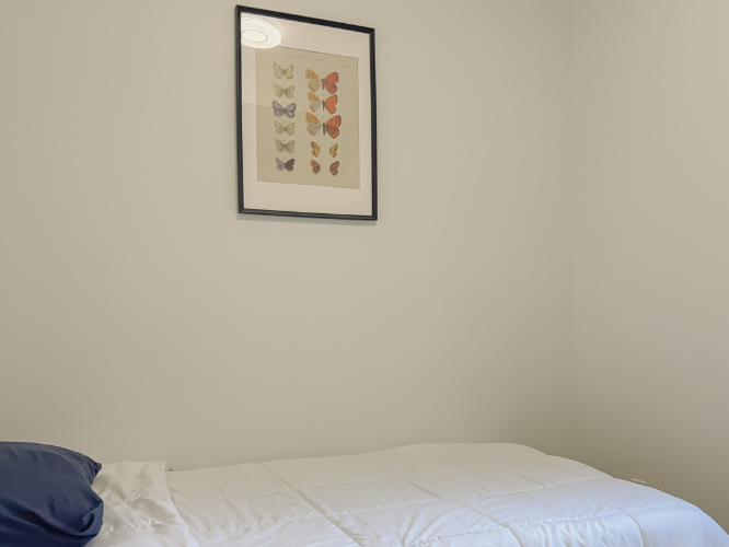 Coliving Montréal 559856-2