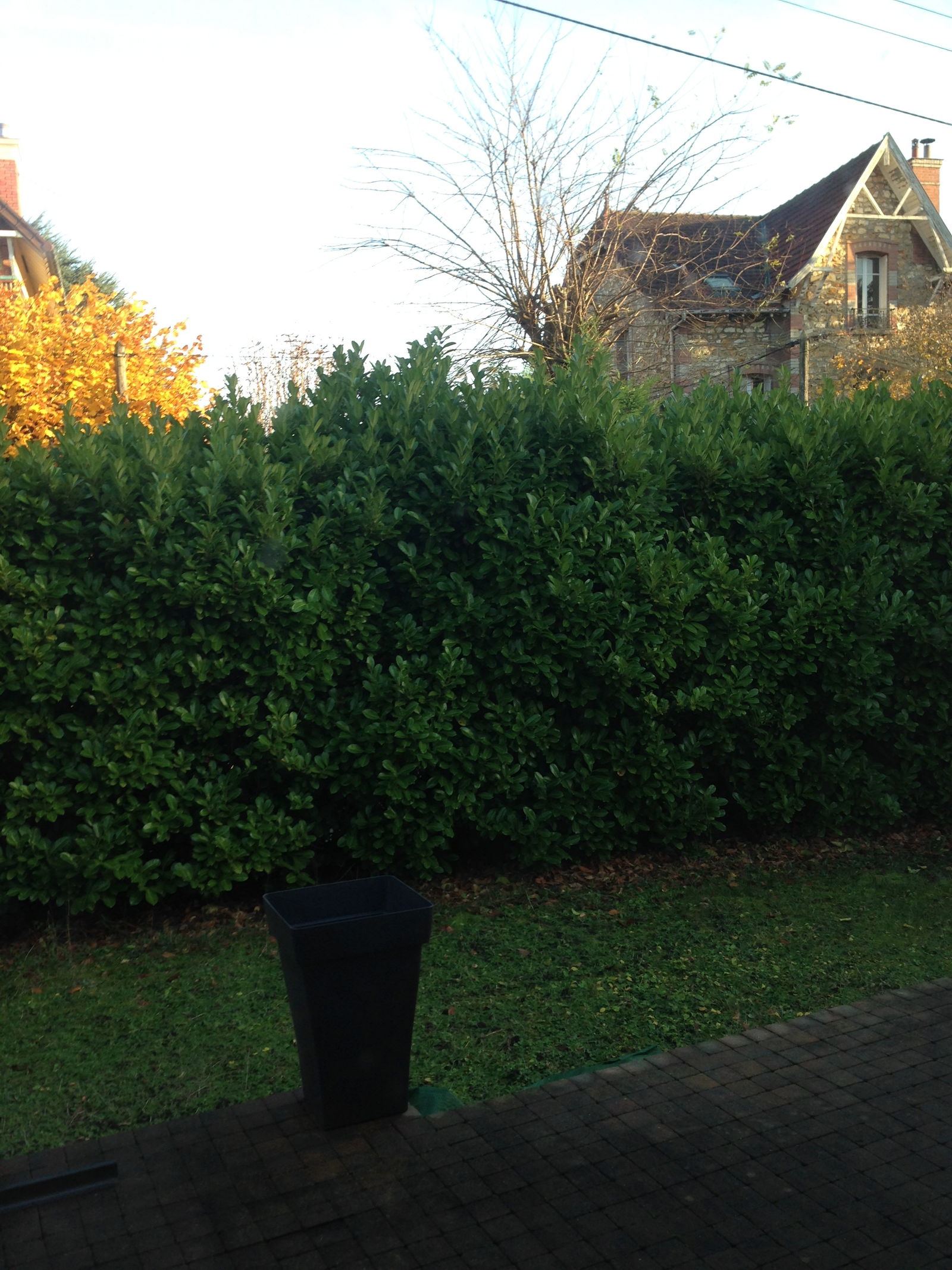 Homestay Taverny 245890