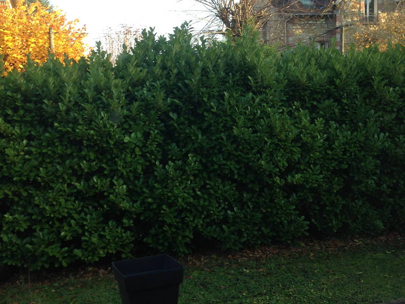 Chambre Chez L'habitant Taverny 245890-3