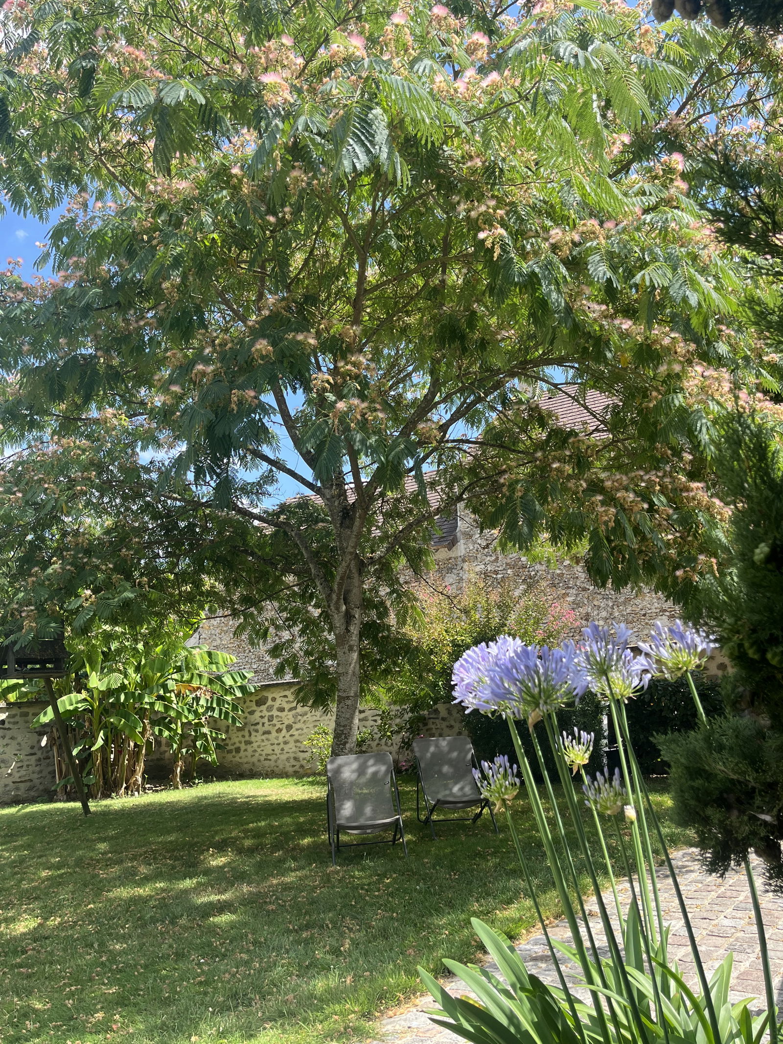 Homestay Morainvilliers 572685