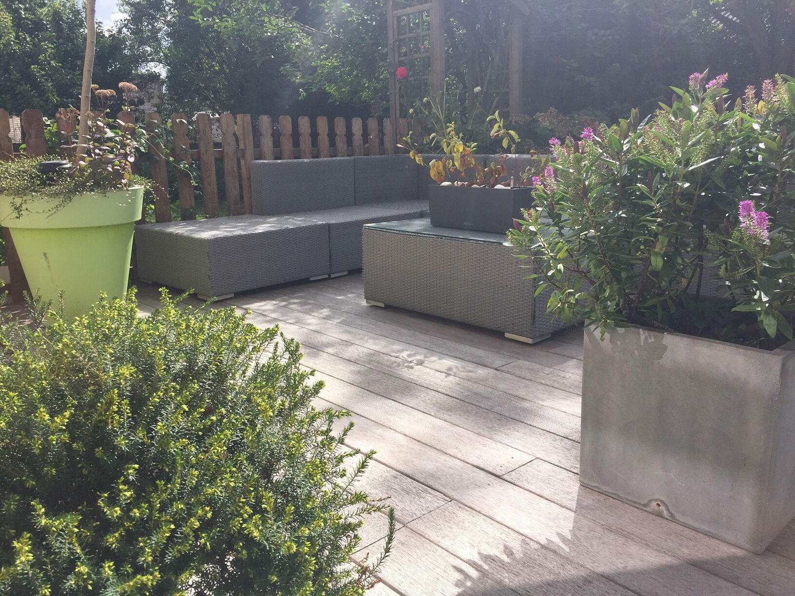 Homestay Hondschoote 210447