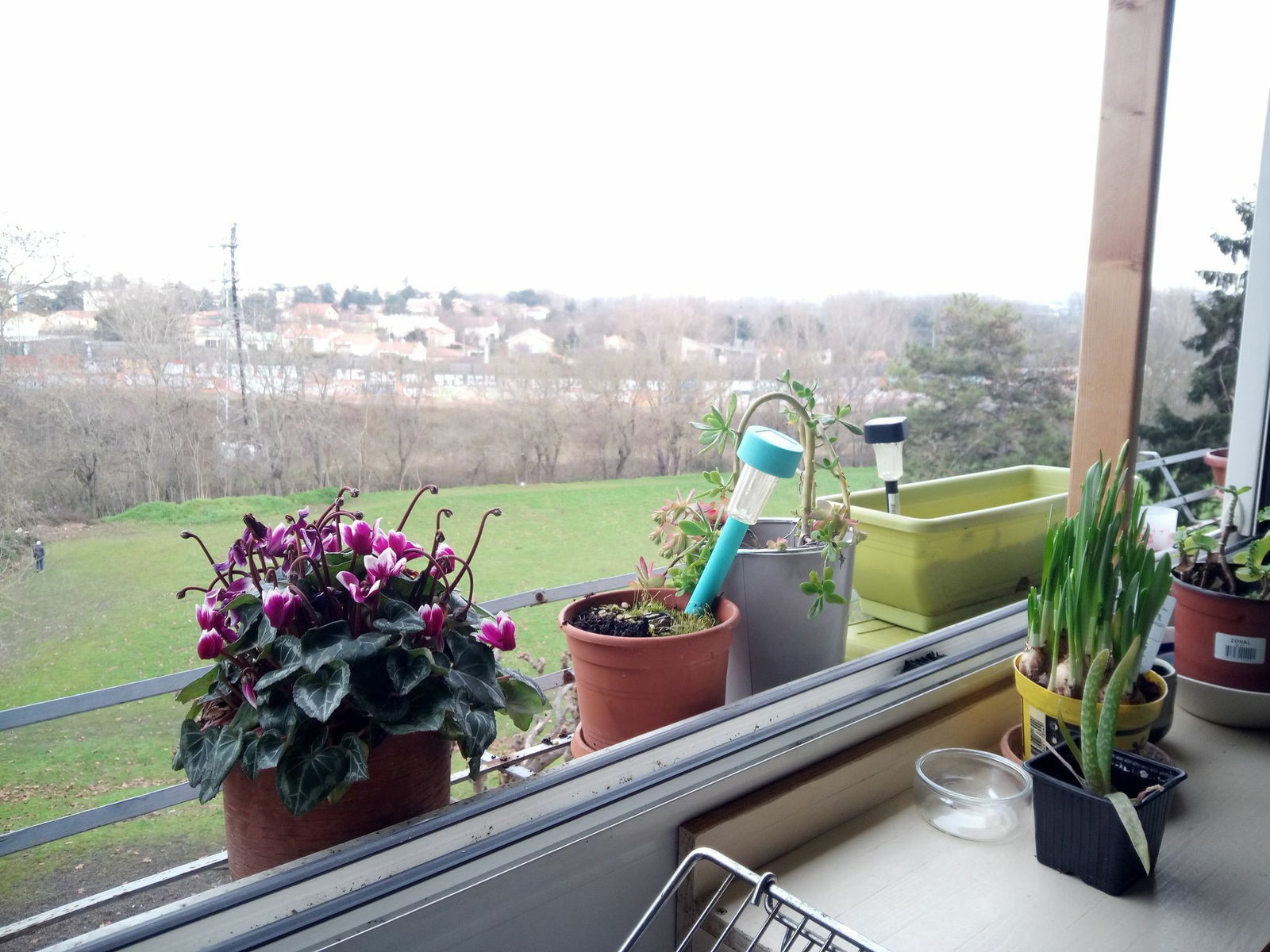 Homestay Toulouse 245094