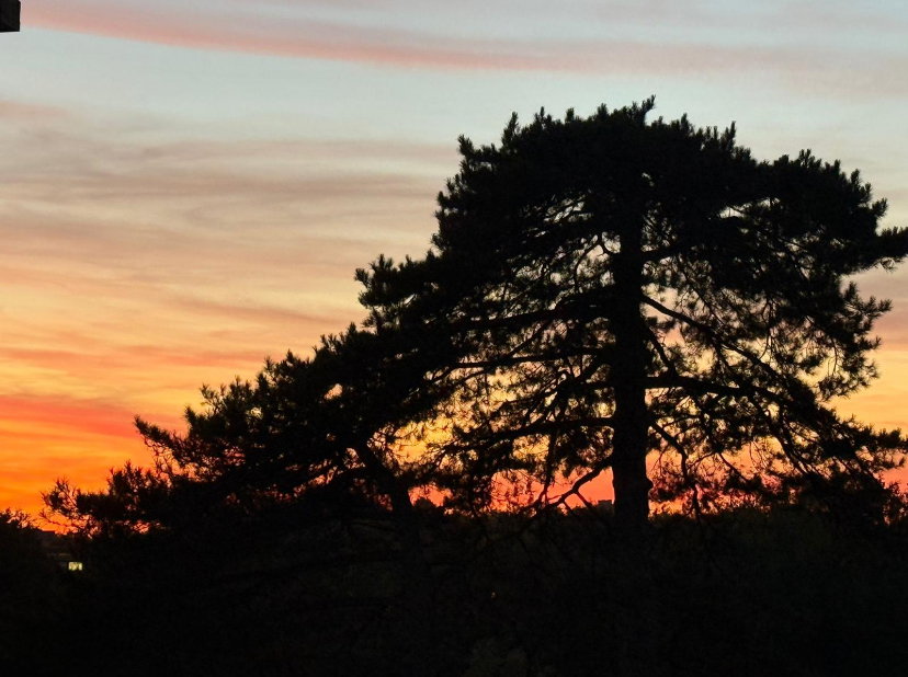 Homestay Nantes 267538