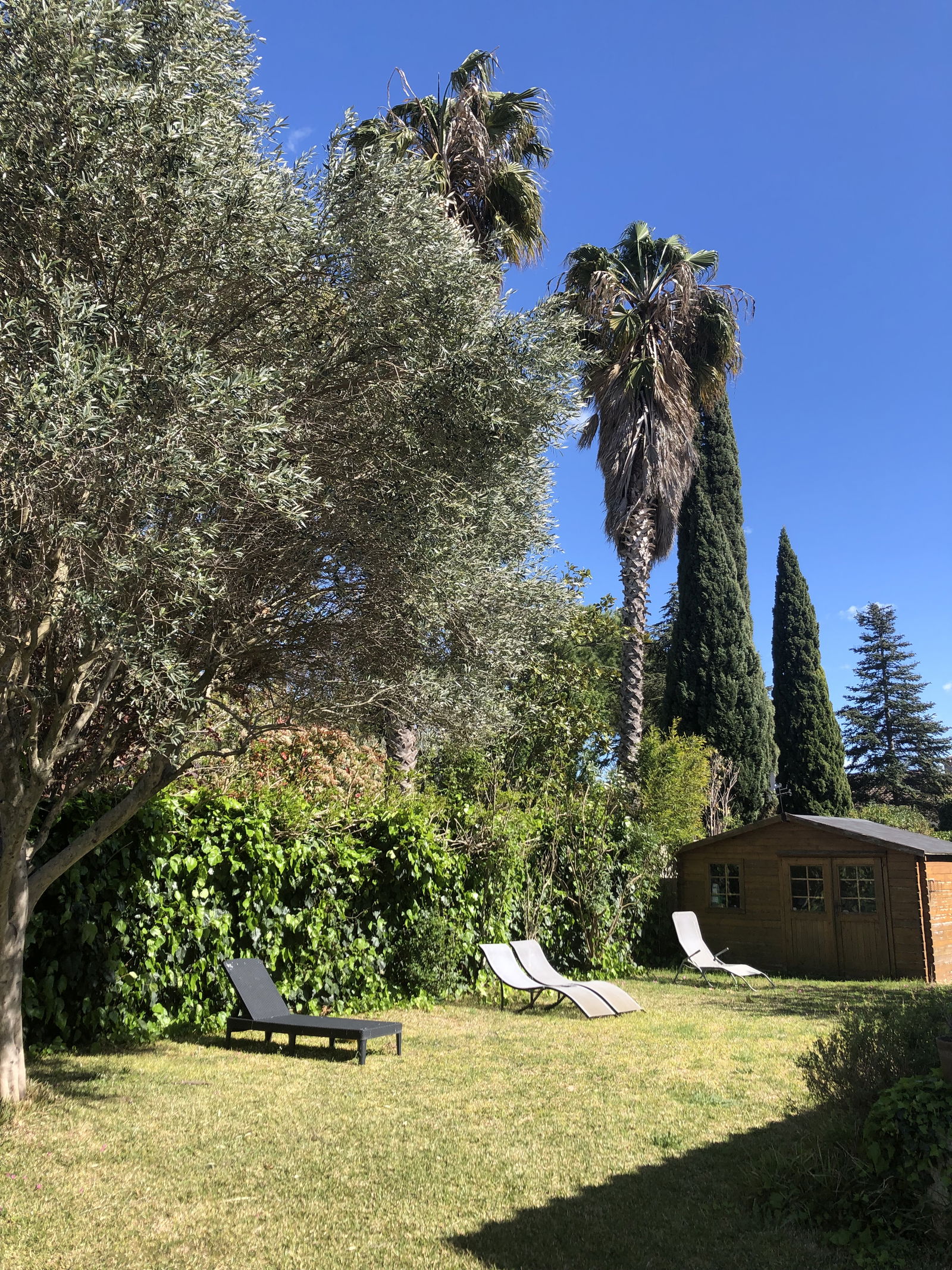 Homestay Lattes 265919