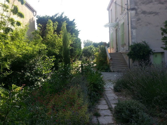 Homestay Avignon 60123