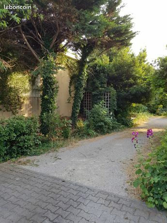 Homestay Avignon 230608