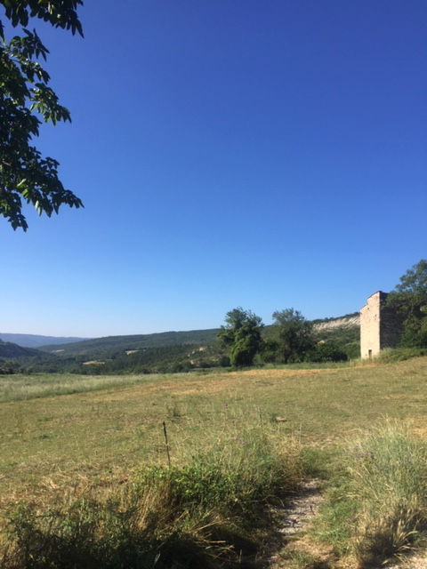 Homestay Limans 350238