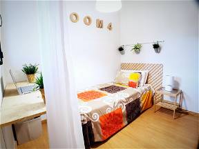 PRIVATE ROOM IN MADRID. ROOM 4. NEAR TO UNIVERSITY