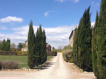 Chambre À Louer Colle Di Val D'elsa 198628