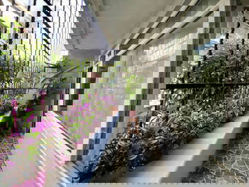 Chambre Chez L'habitant Bexhill-On-Sea 488461-8