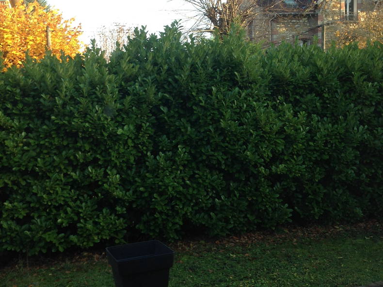 Gastfamilie Taverny 152495-2