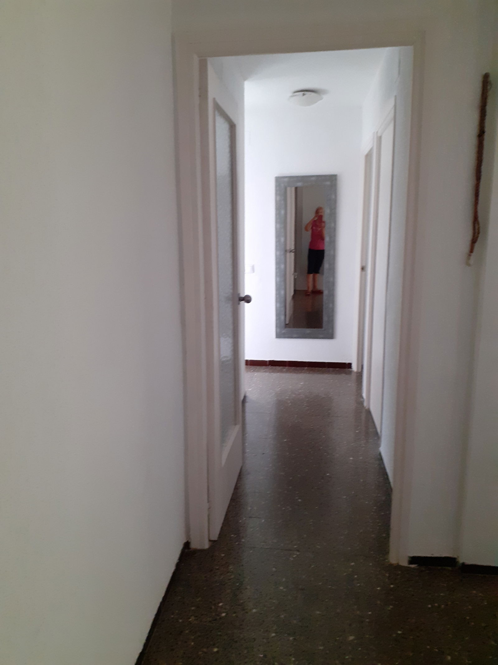 Colocation Alacant 225055