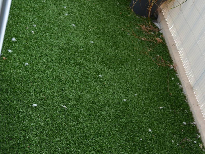 Colocatie Les Ulis 177126-4