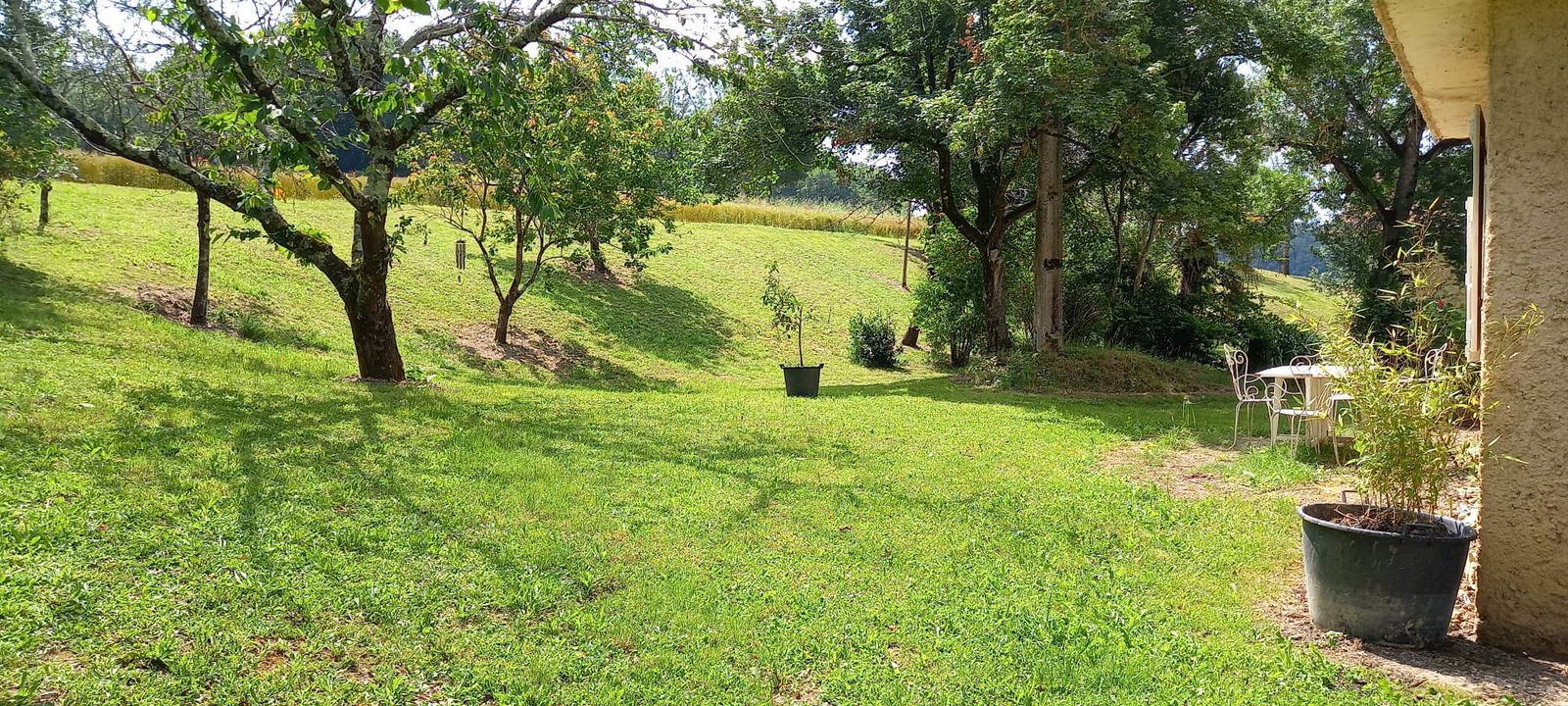 Homestay Saint-Jean-Poutge 267972