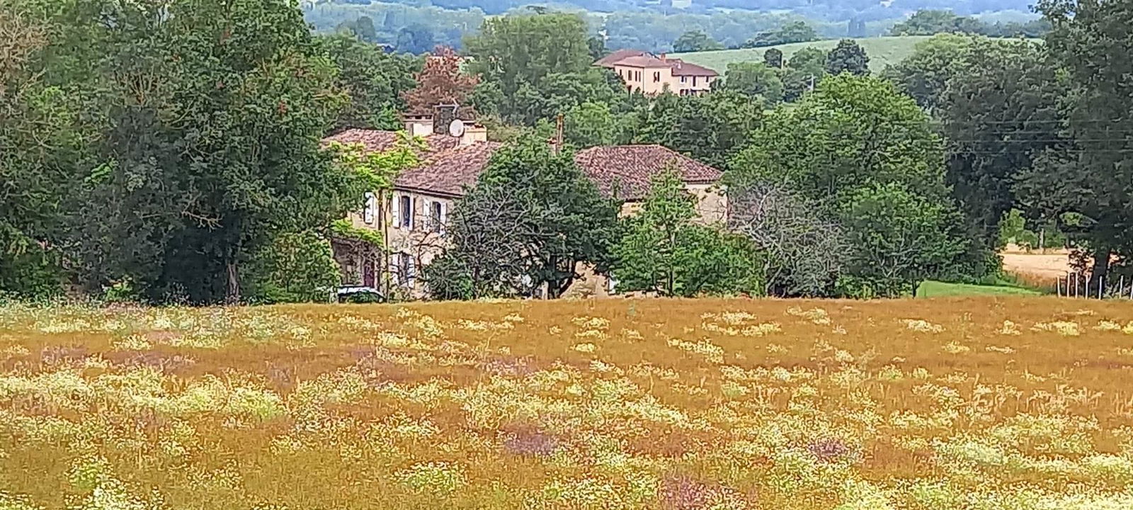 Homestay Saint-Jean-Poutge 267972