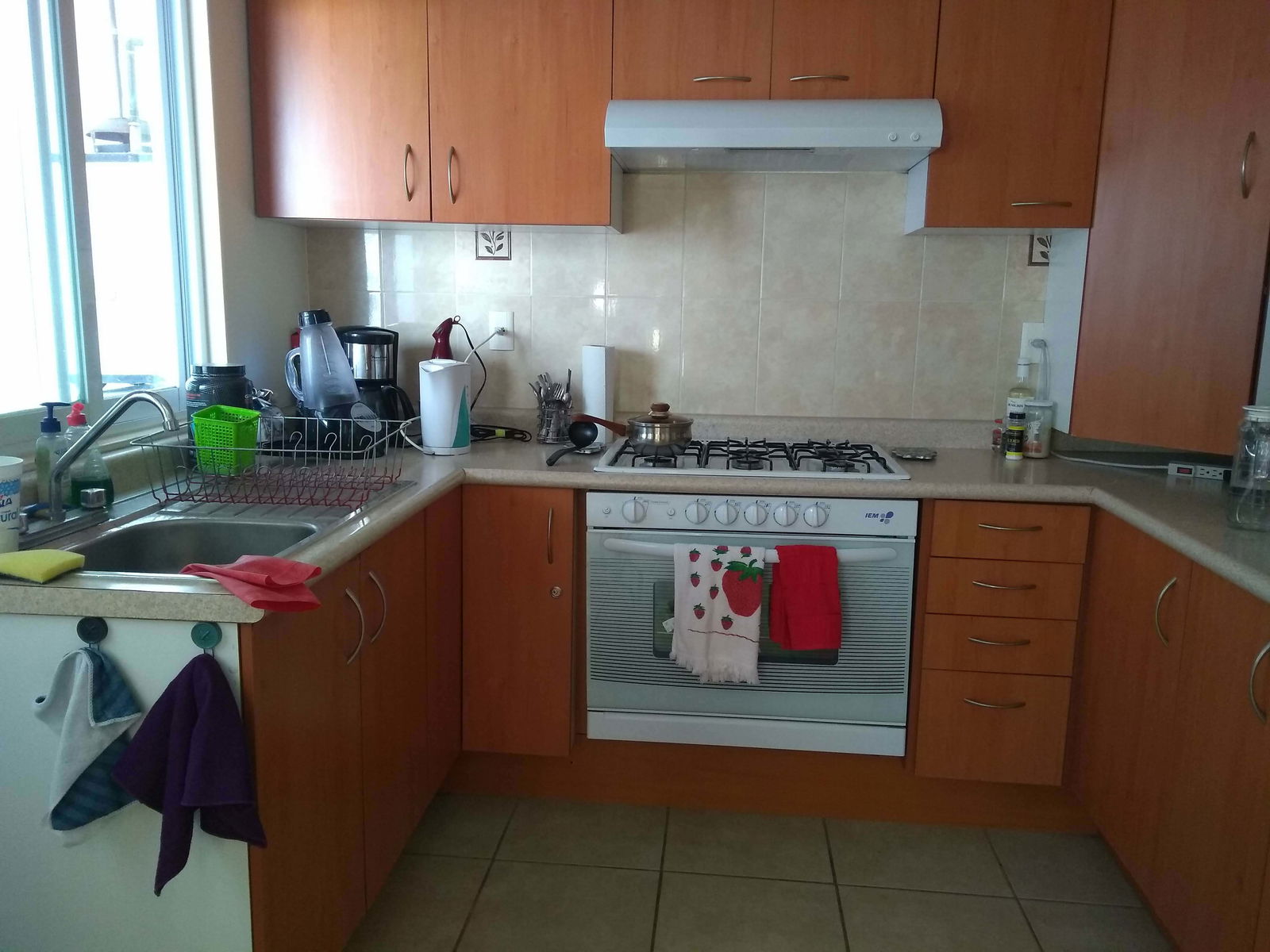 Homestay Santiago de Querétaro 232676