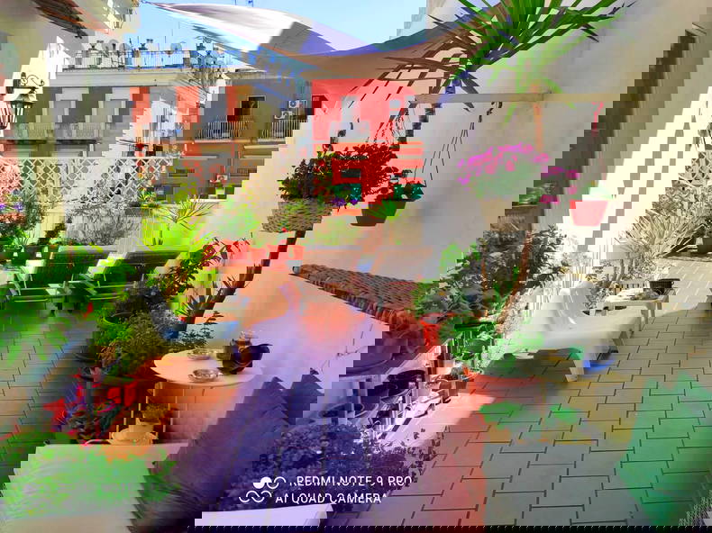 Homestay Napoli 265552-1