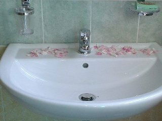 Gastfamilie 96012 199501