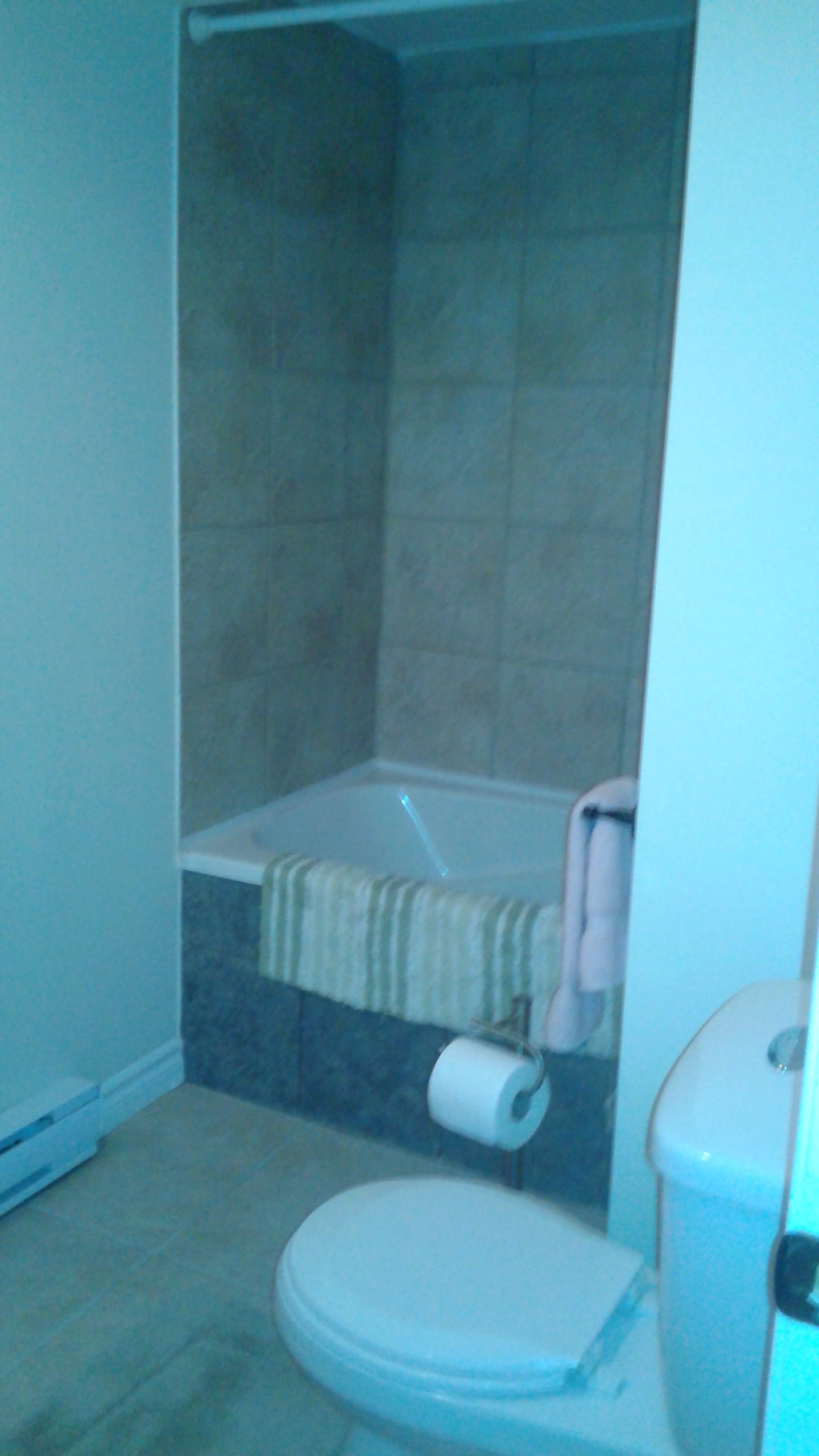 Homestay Blainville 148081