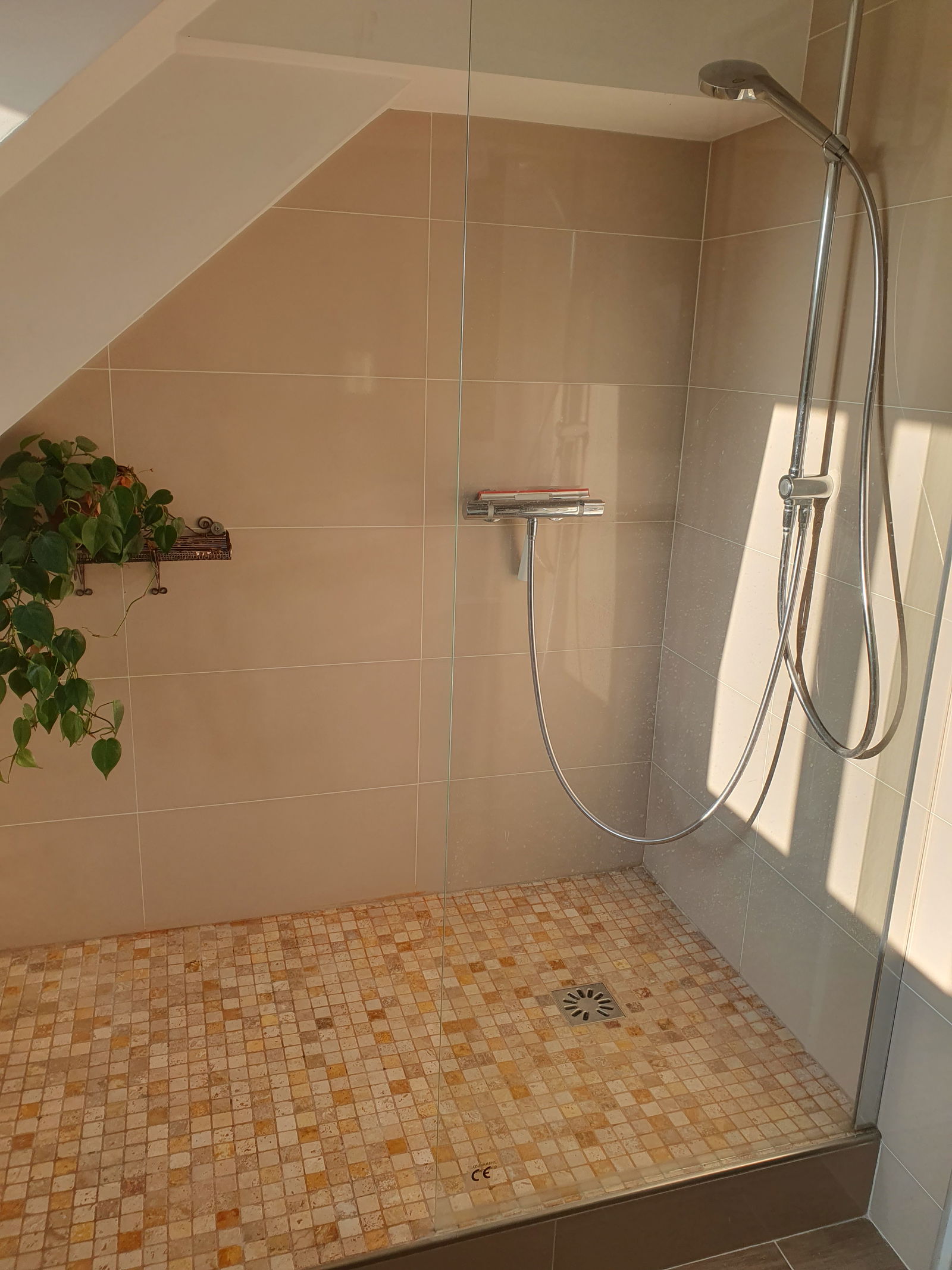 Homestay Jouars-Pontchartrain 658097