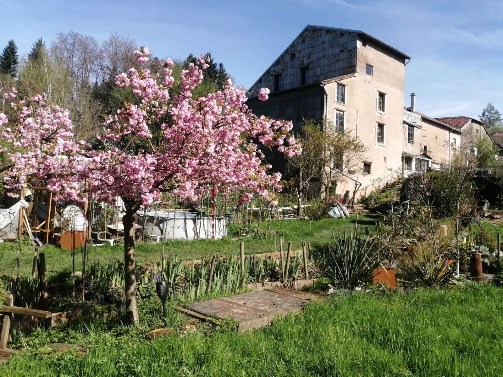 Homestay Xertigny 656199