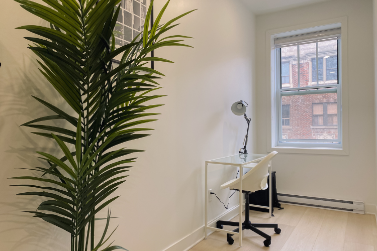 Coliving Montréal 559856