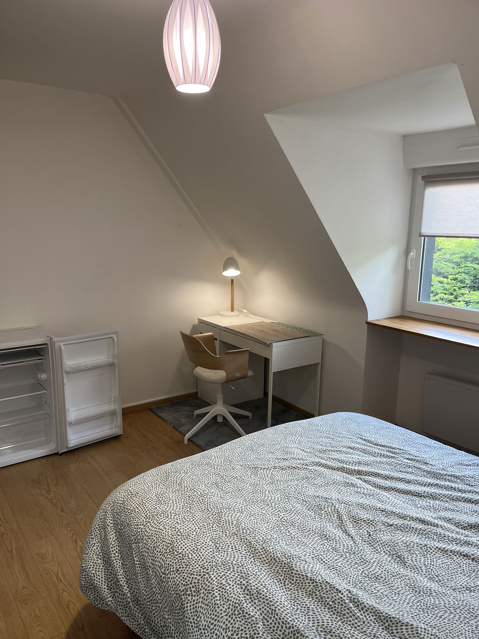 Kolokation Guipavas 268176