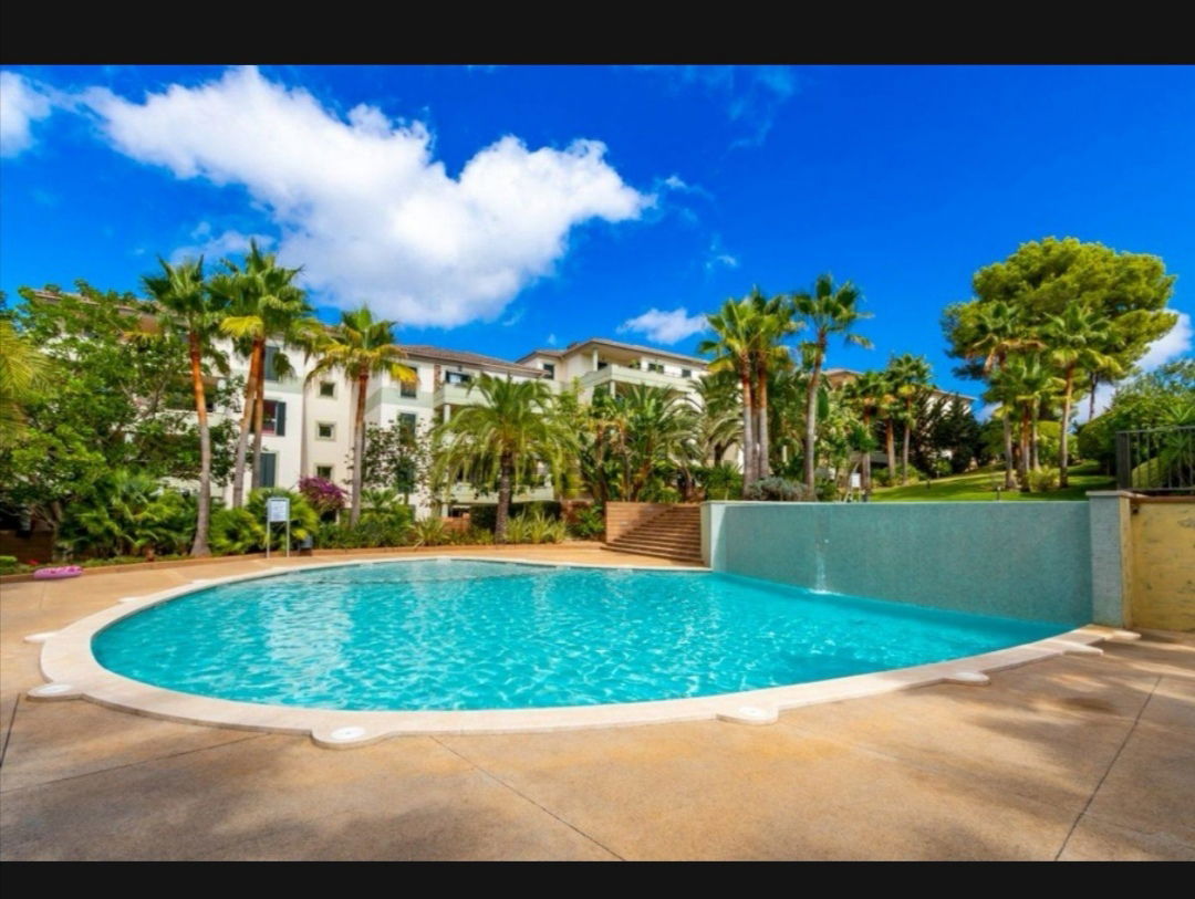 Gastfamilie Palma 246376