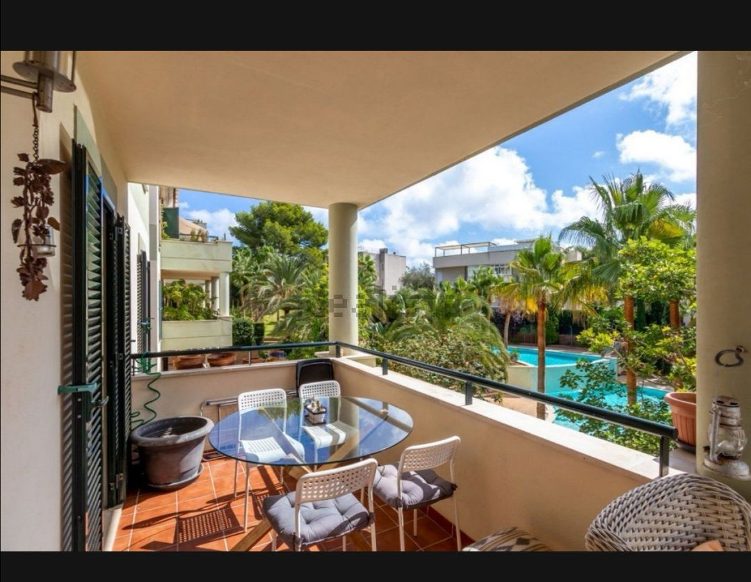 Gastfamilie Palma 246376