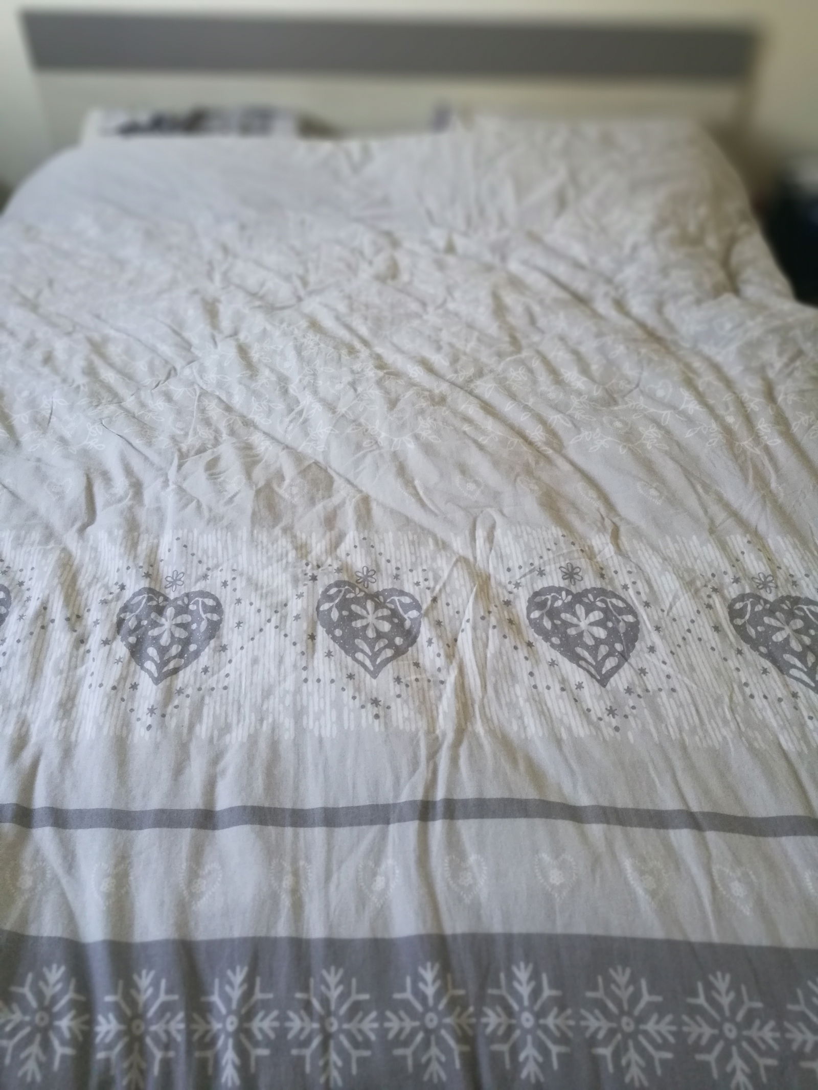 Gastfamilie Rochefort-sur-Loire 238544