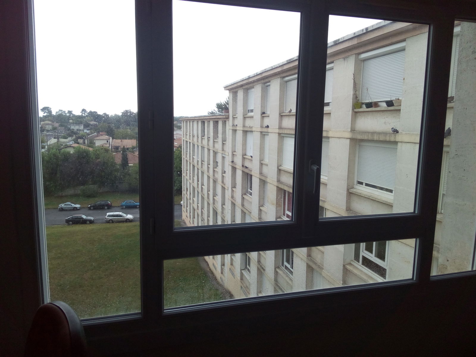 Kolokation Mérignac 235737