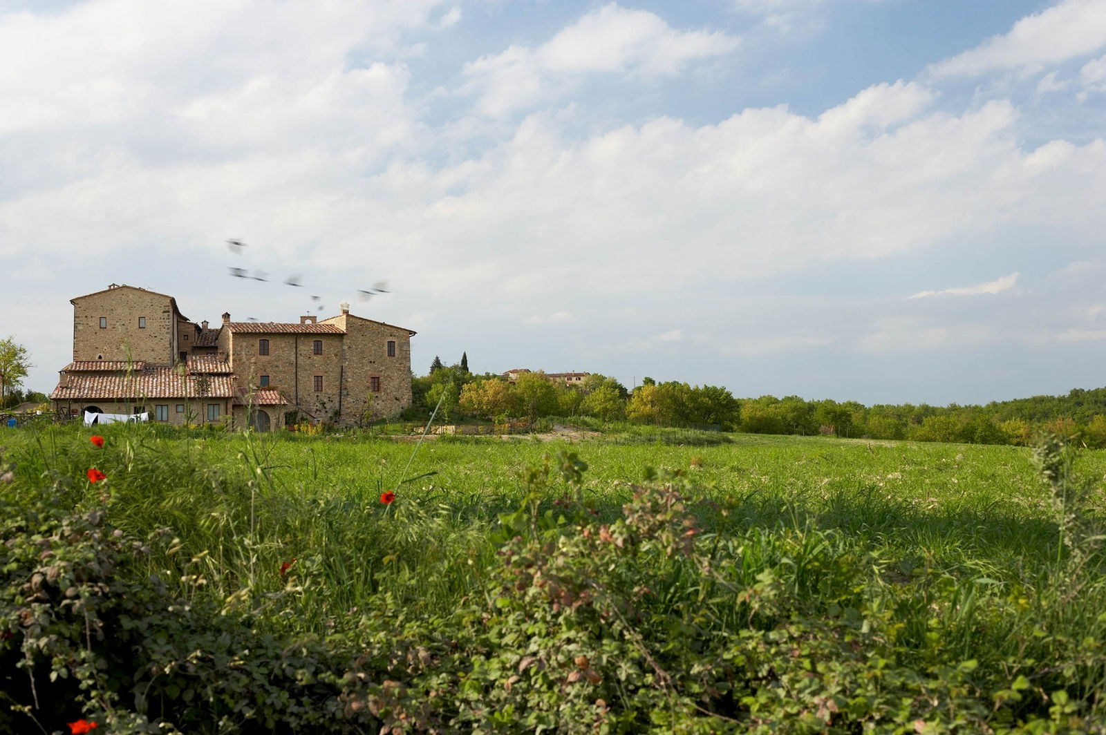 Gastfamilie Colle di Val d'Elsa 198628