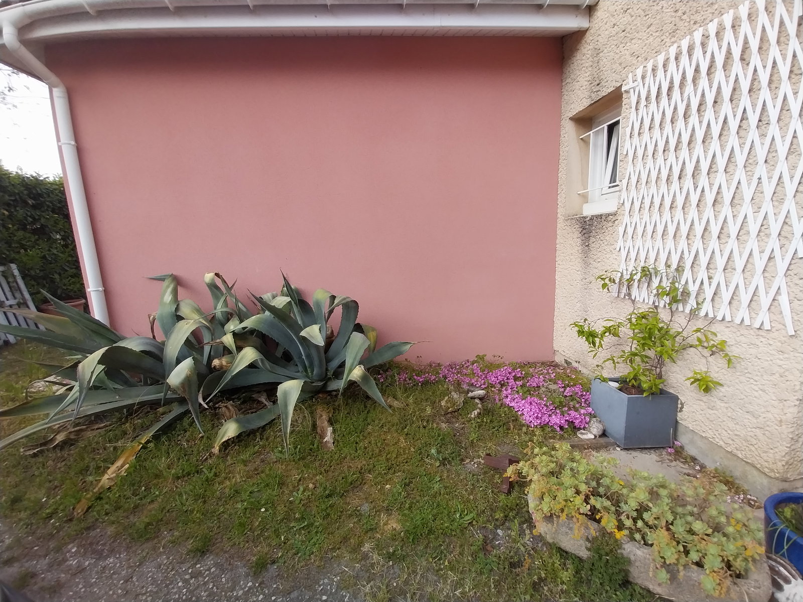 Gastfamilie Cestas 664003