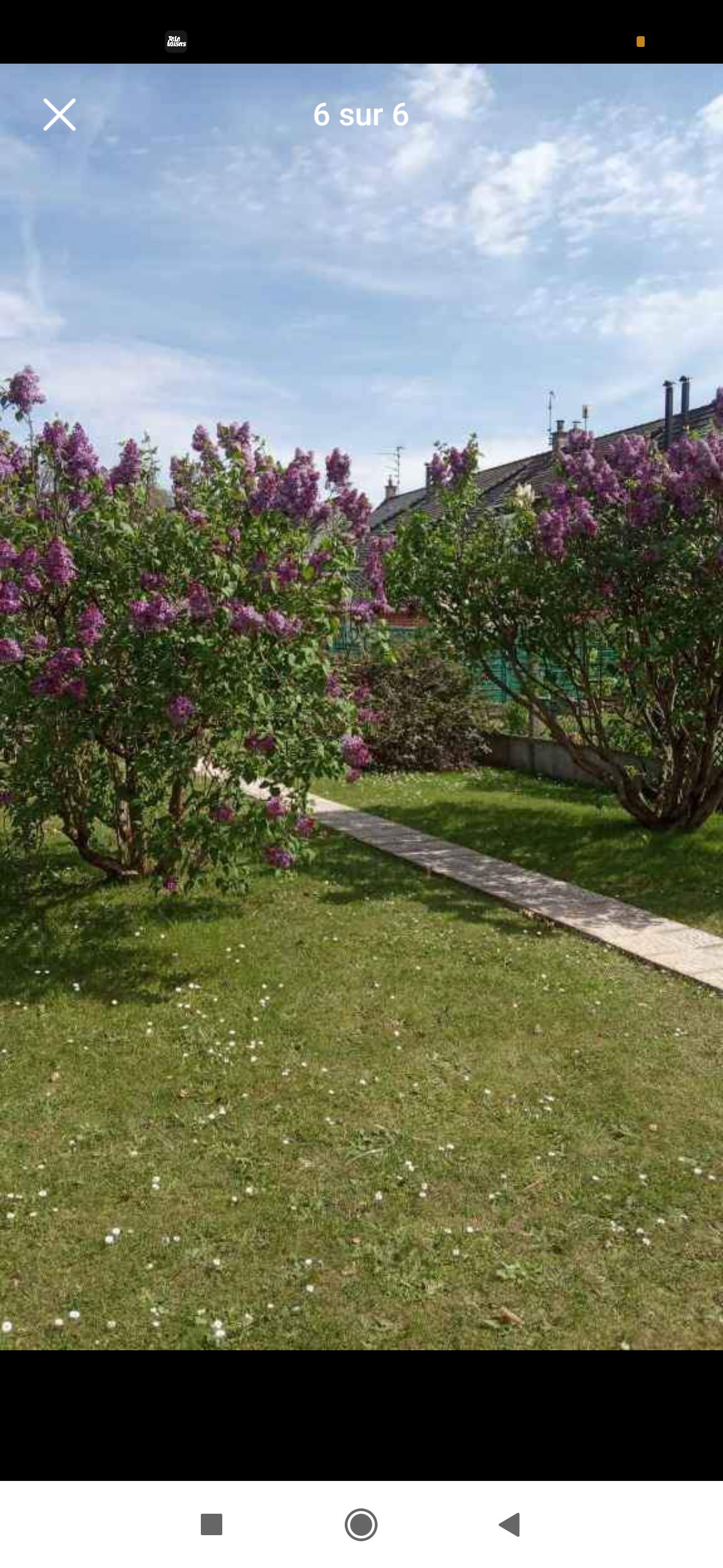 Kolokation Carvin 412713