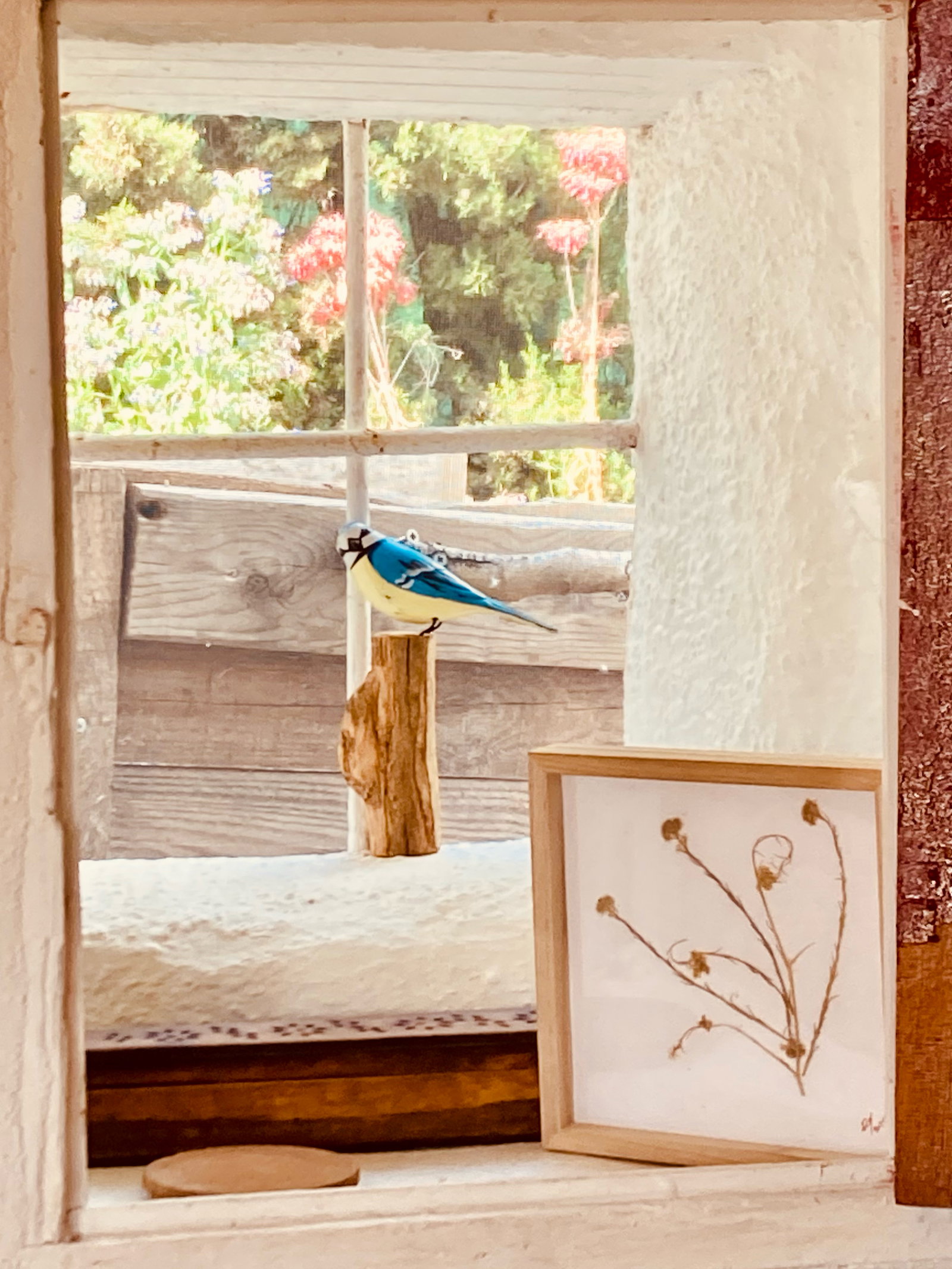 Gastfamilie Tortosa 662819