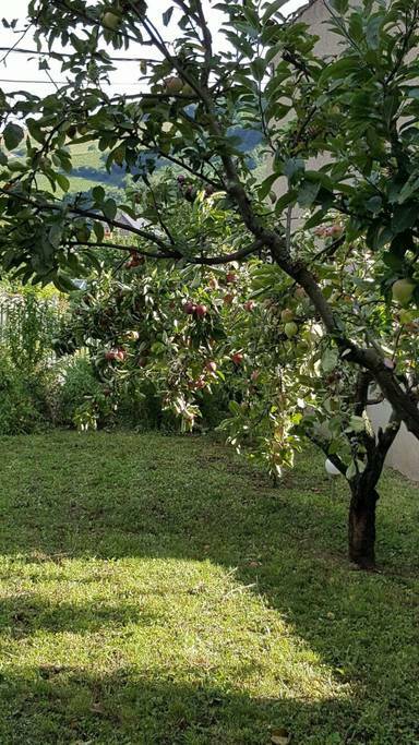 Gastfamilie Juliénas 219586