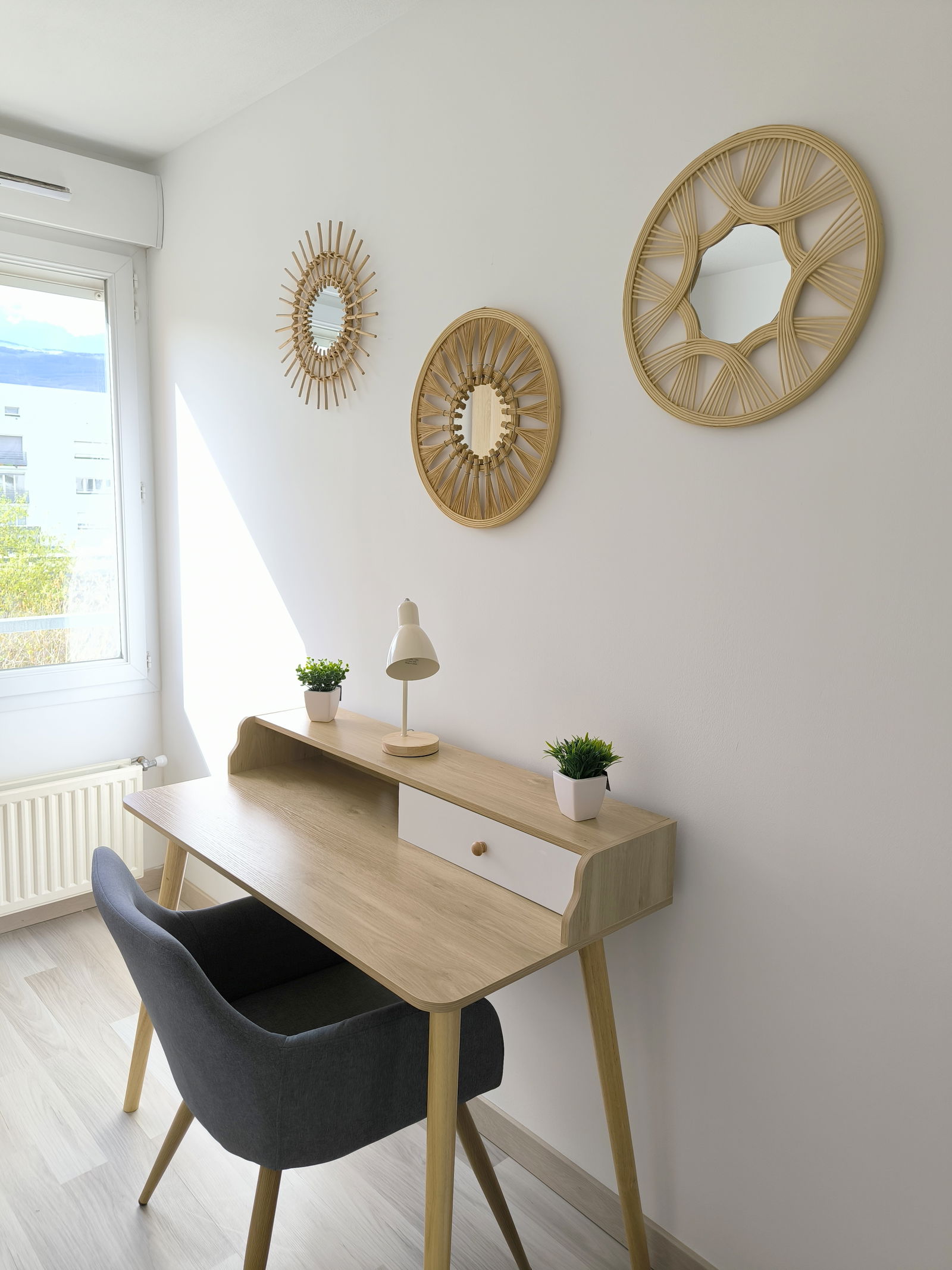 Colocatie Grenoble 459997