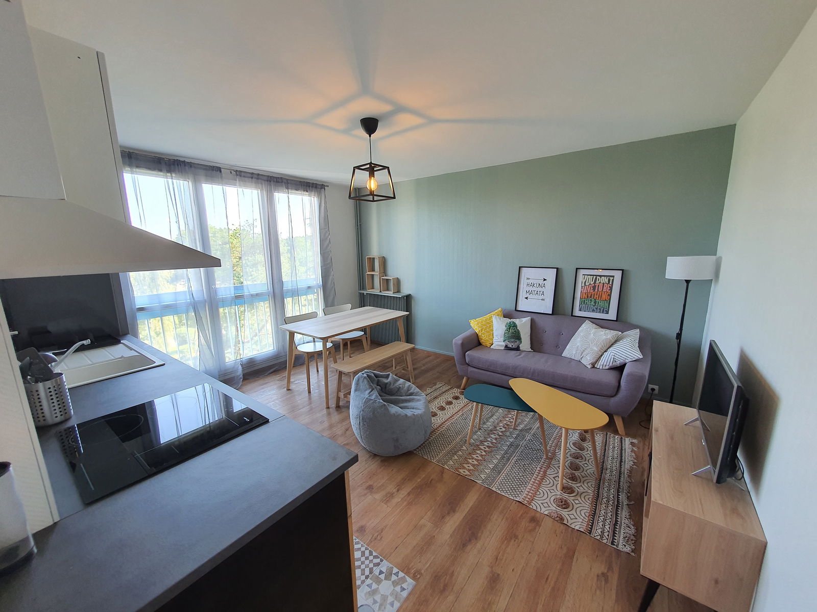 Colocatie Pontoise 259939