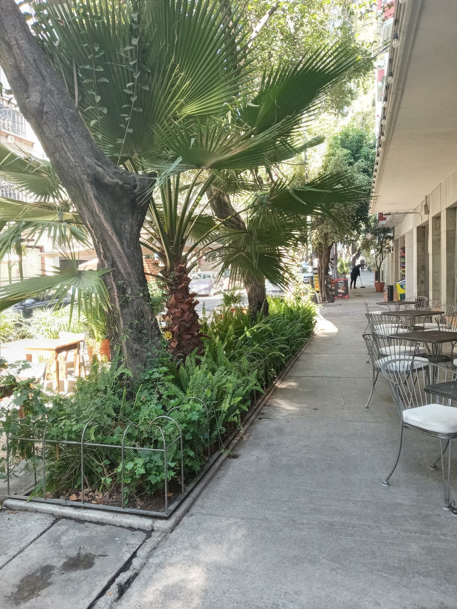 Gehele Woning México D.F. 249343