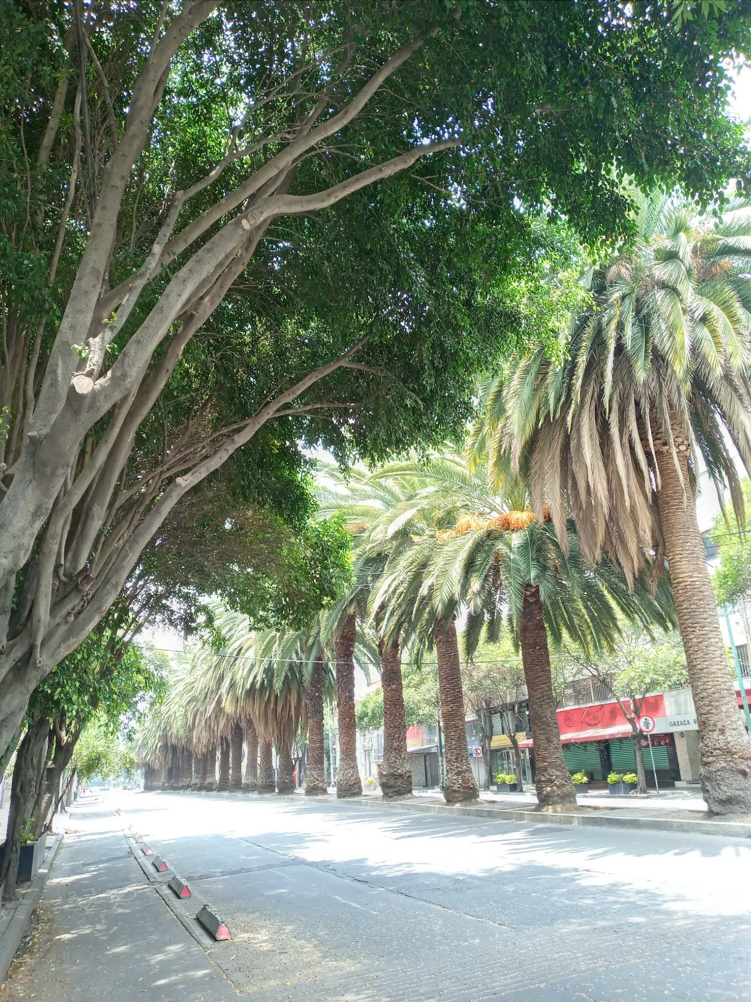 Gehele Woning México D.F. 249343