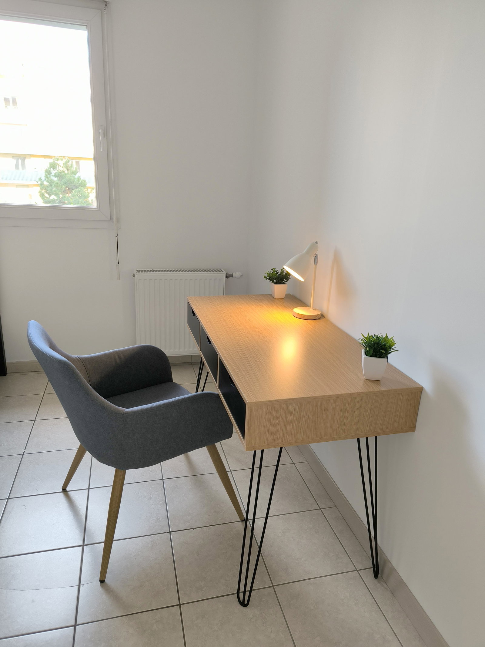 Colocatie Grenoble 459997