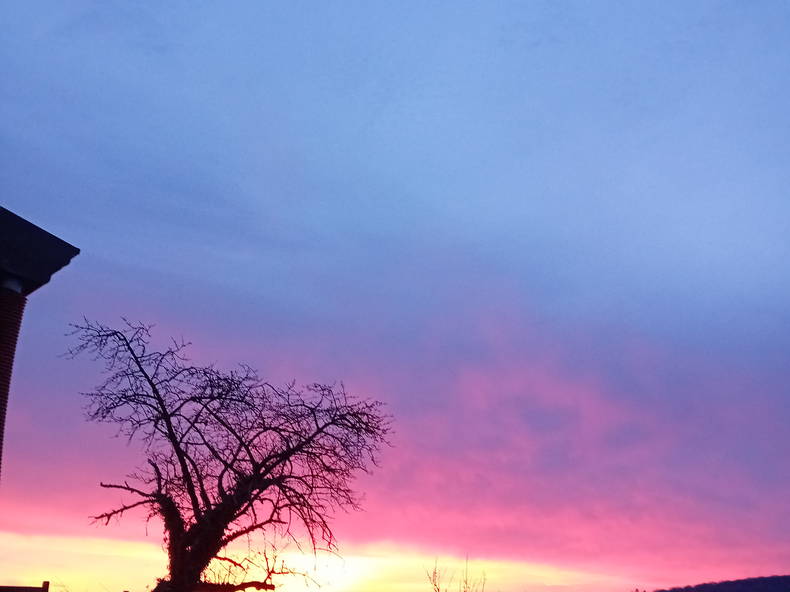 Gastfamilie Boves 589063-1