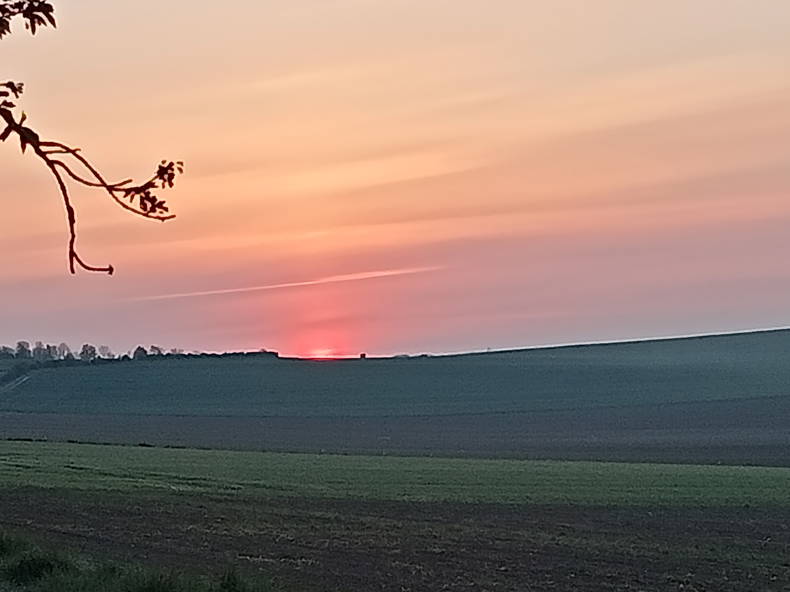 Gastfamilie Boves 589063-4