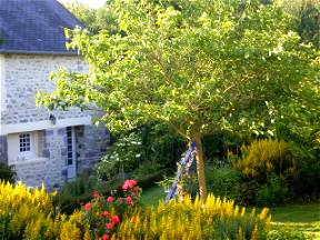 Near Sea, Quiet, Charming Cottage In Orval Garden