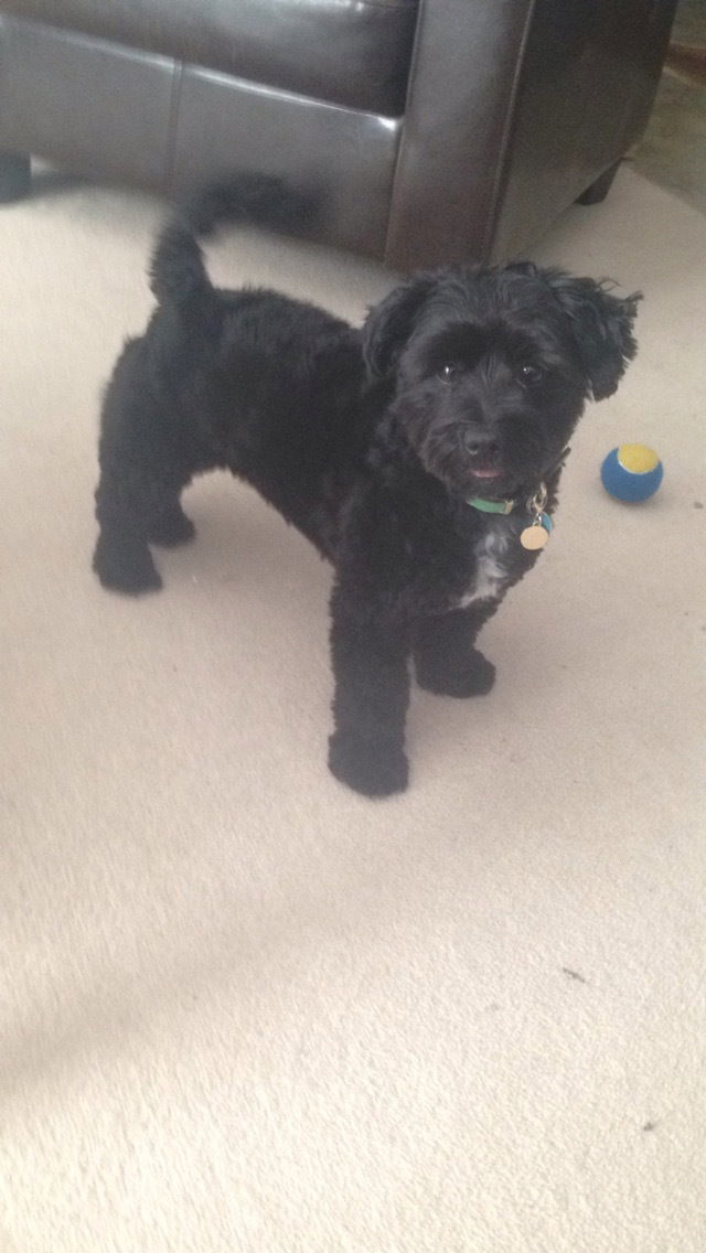 Hospedagem Em Casa De Família Edmonton 123119