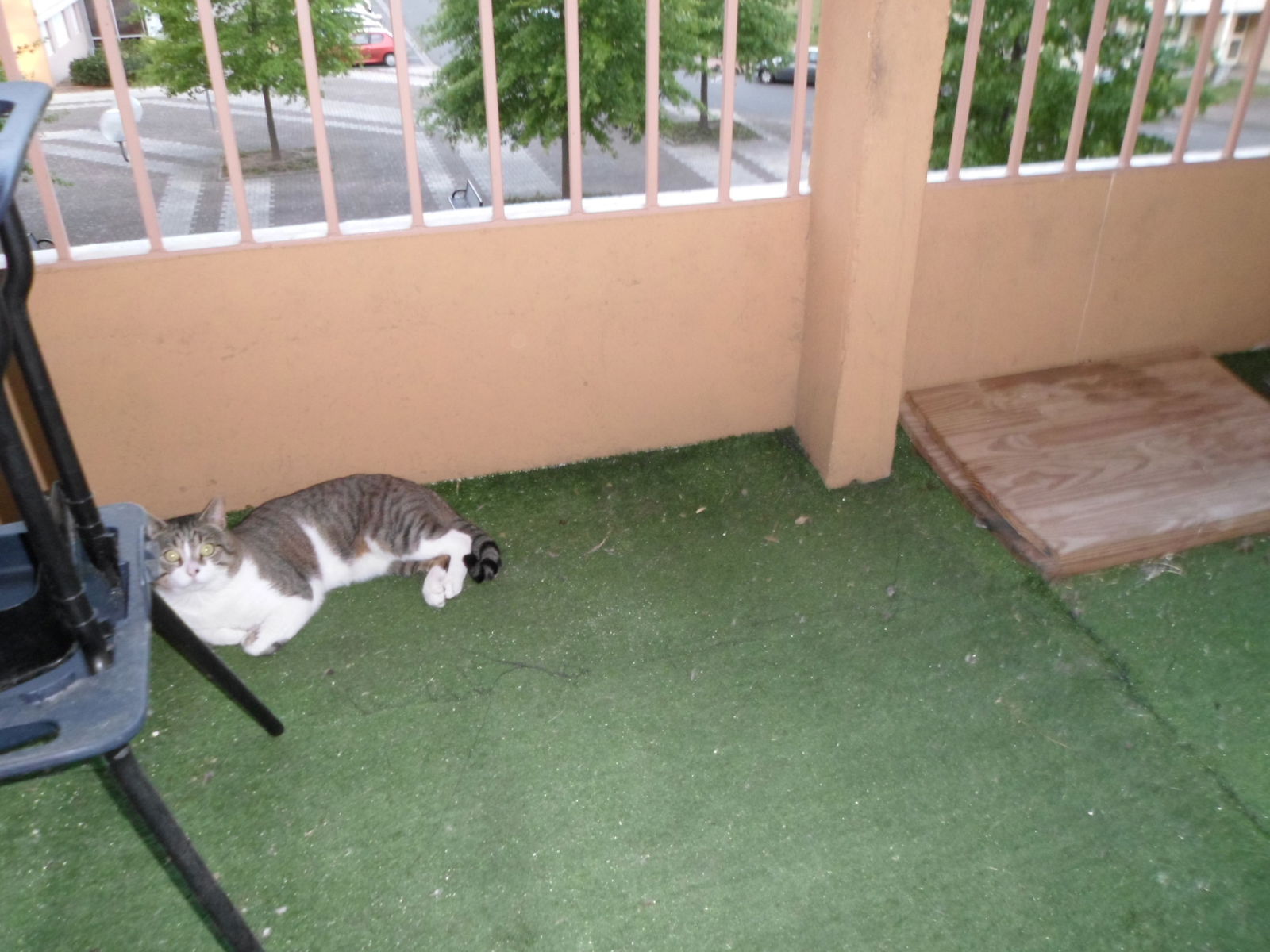 Colocação Roanne 117629