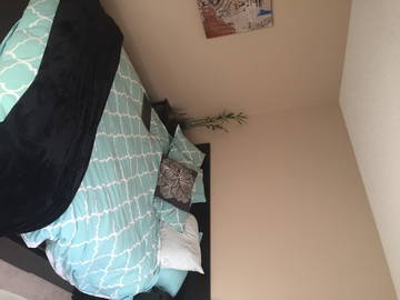 Roomlala | Procurando por um colega de quarto tranquilo