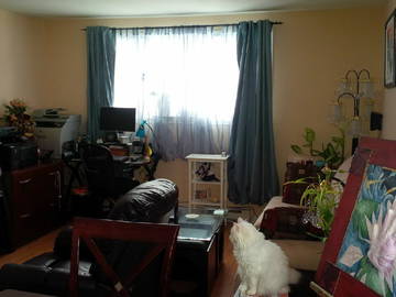 Roomlala | Procurando um colega de quarto - 4 1/2 mobiliado