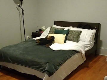 Roomlala | Procurando um colega de quarto para