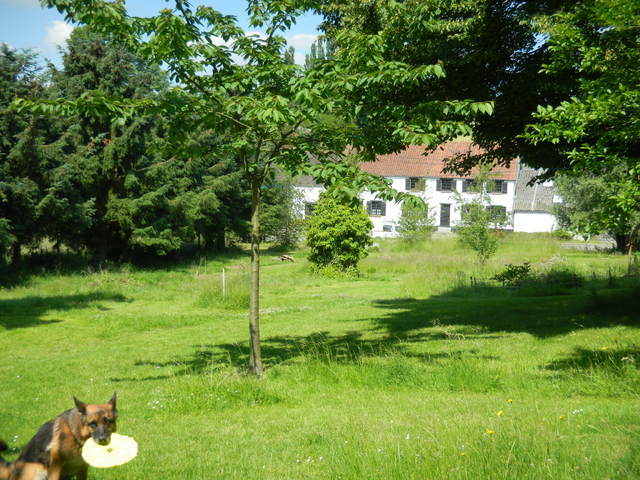 Colocação Ittre 45965